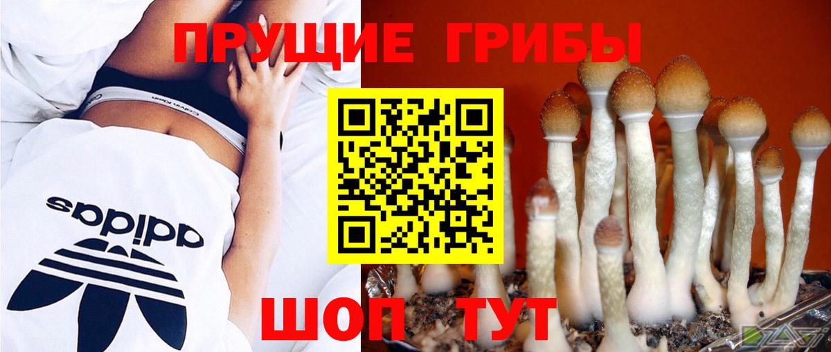 Галлюциногенные грибы Magic Shrooms Заринск