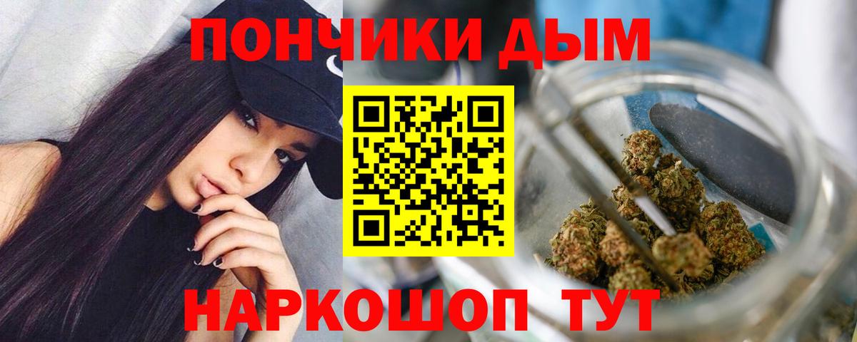 Каннабис сатива Заринск
