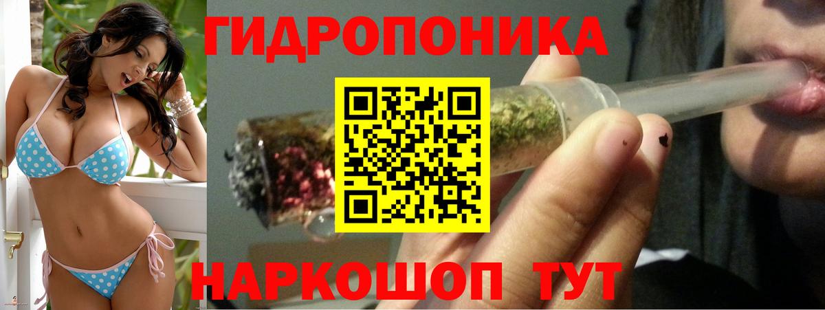 Шишки марихуана White Widow  Бошки марихуана сатива  Бошки марихуана семена  Вход с VPN  Заринск 
